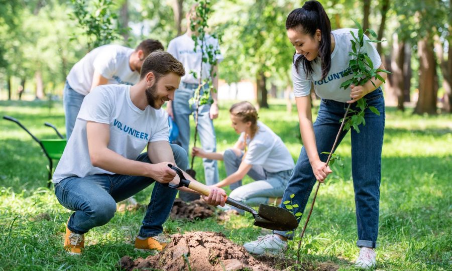 young-volunteers-planting-trees-in-green-park-together.jpg